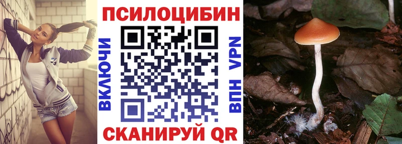 Галлюциногенные грибы мицелий  цены наркотик  Мегион 